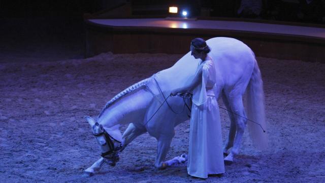 Chantilly, Spectacle Equestre