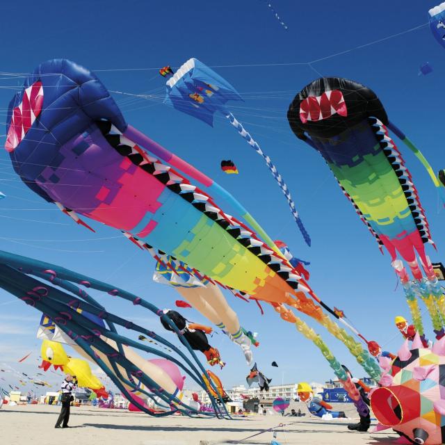 Berck Sur Mer, Cerfs Volants