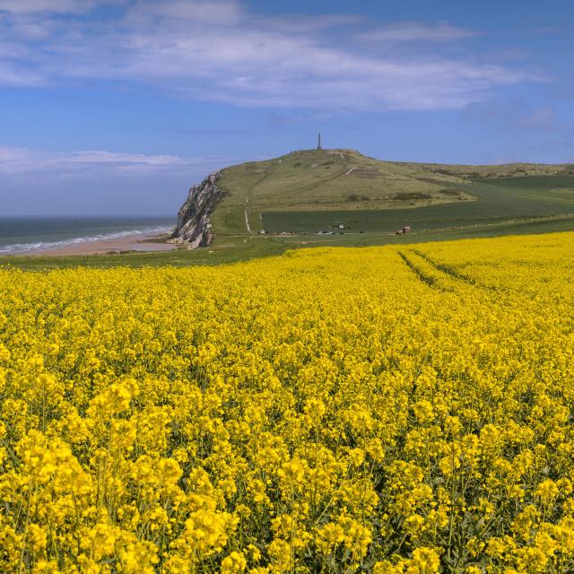 Le Cap Blanc-Nez