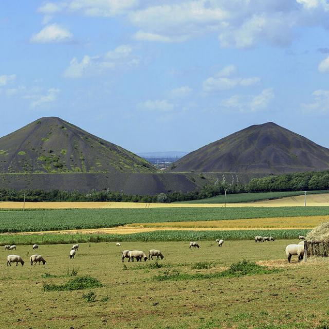 Les terrils jumeaux de la Fosse 6 d'Haillicourt