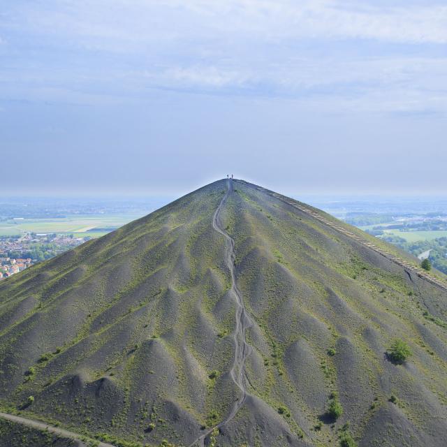 Terril, Loos en gohelle