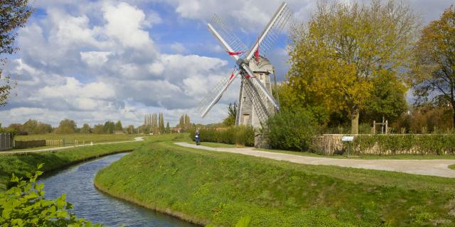 Saint-Omer, marais audomarois