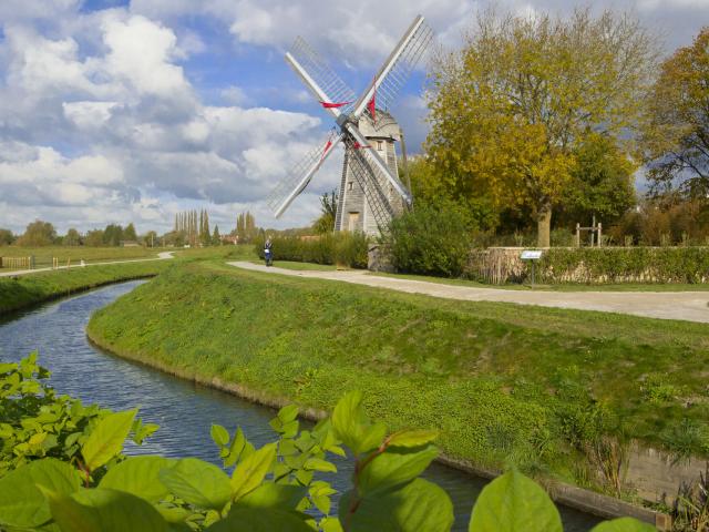 Saint-Omer, marais audomarois