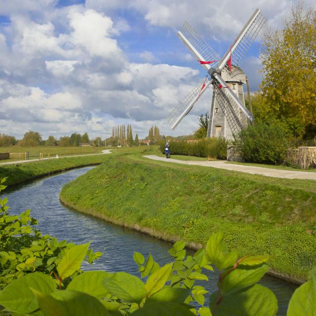 Saint-Omer, marais audomarois