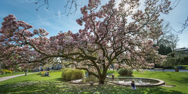 Abbeville, Parc Emonville