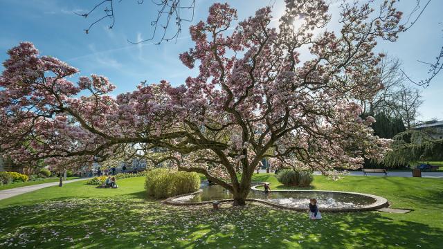 Abbeville, Parc Emonville