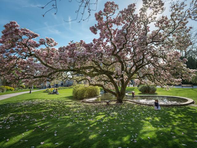 Abbeville, Parc Emonville