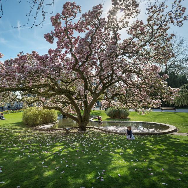 Abbeville, Parc Emonville