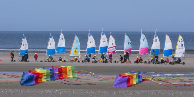 Berck-sur-Mer, Rencontres Internationales de Cerfs-Volants