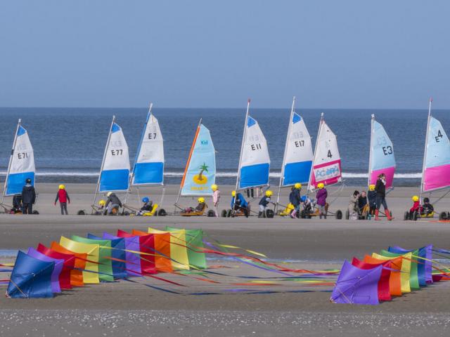 Berck-sur-Mer, Rencontres Internationales de Cerfs-Volants