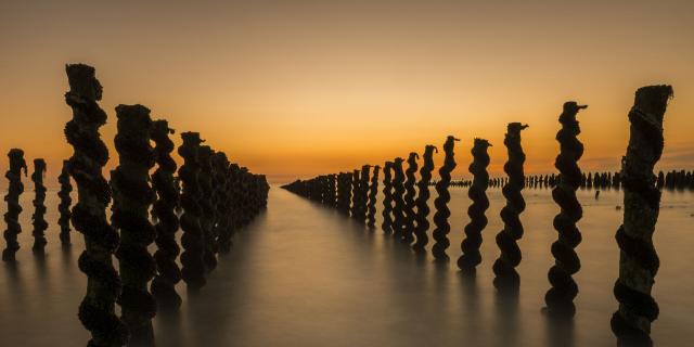 Quend-Plage, Bouchots