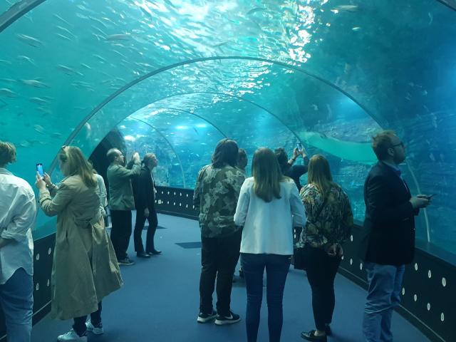 Voyage De Presse Evasions En Famille, Parcs d'attractions, grands espaces de nature préservée et lieux ludo-pédagogiques