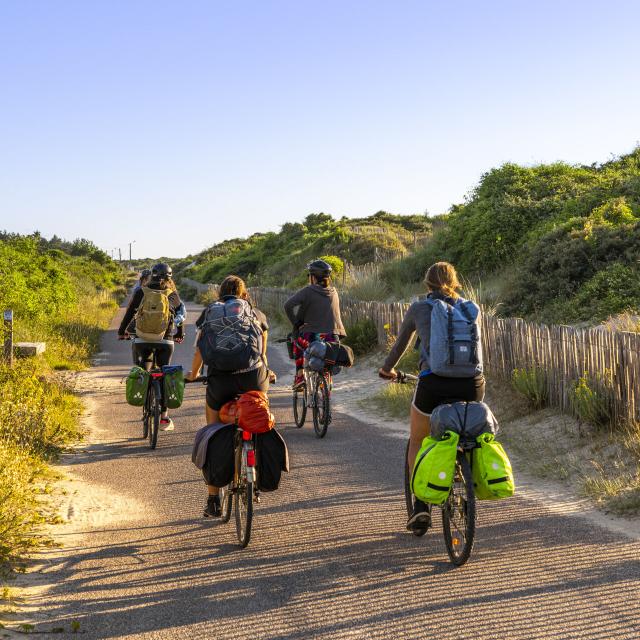 Baie de Somme, La Mollière d'Aval, Le Hourdel, la route blanche