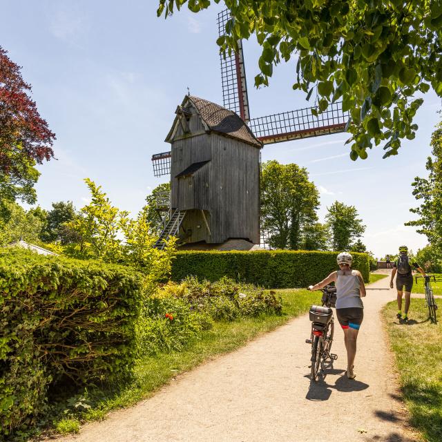 France, Nord (59), Cassel, Village préféré des français en 2018, Le mont Cassel domine le village avec son ancien moulin en bois et un agréable jardin public // France, North (59), Cassel, French village favorite in 2018, Mount Cassel dominates the village with its old wooden mill and a pleasant public garden