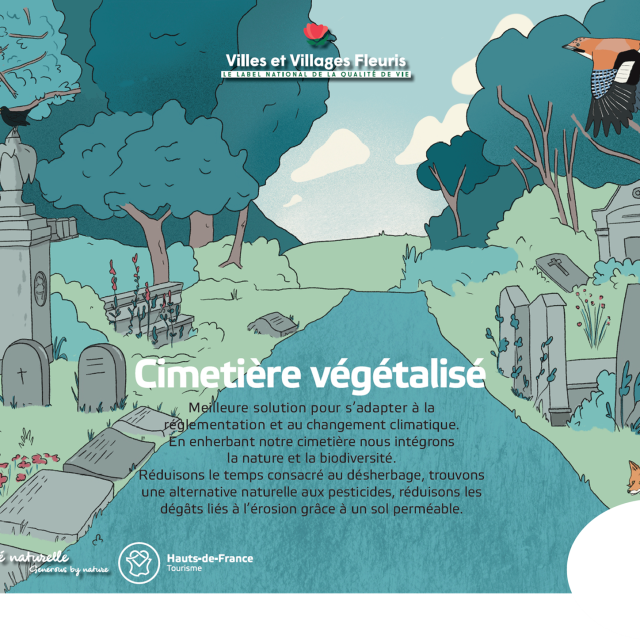 Vvf Cimetiere Vegetalise