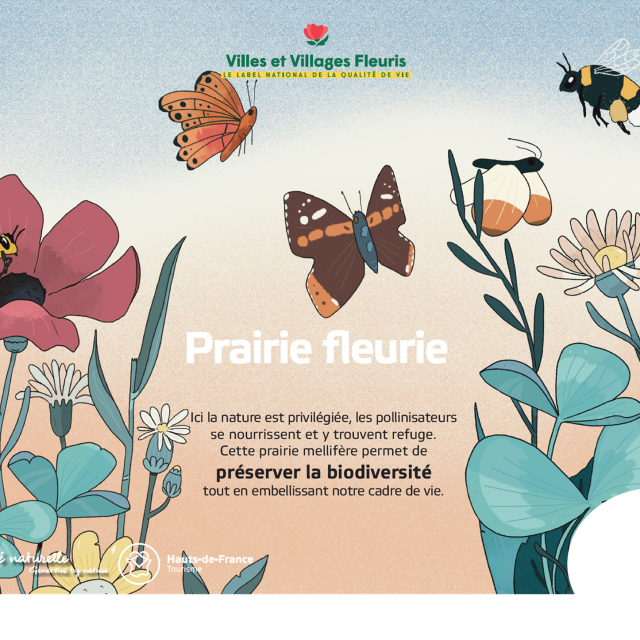 Vvf Prairie Fleurie