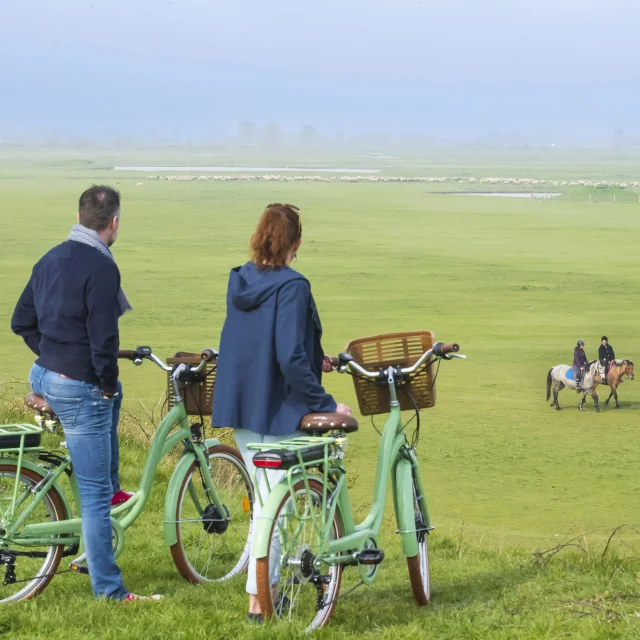 Saint-Valery sur Somme, vélo et chevaux Henson