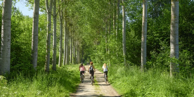 Foret-de-Hez-Froidmont, vélotourisme