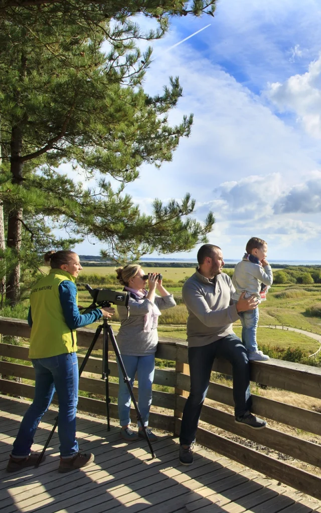 Parc Ornithologique Du Marquenterre