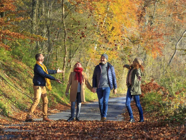 abbaye de Lieu Restauré, vallée de l'automne, oise